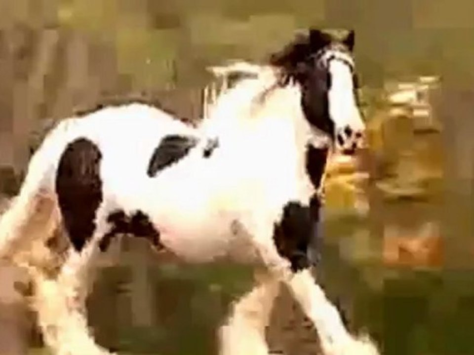 *** ISNT' SHE LOVELY ***