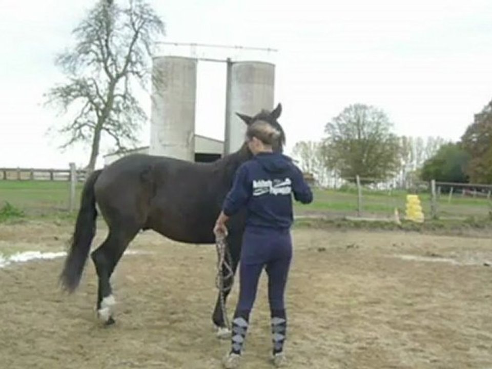 Talar liberté 20_10_12