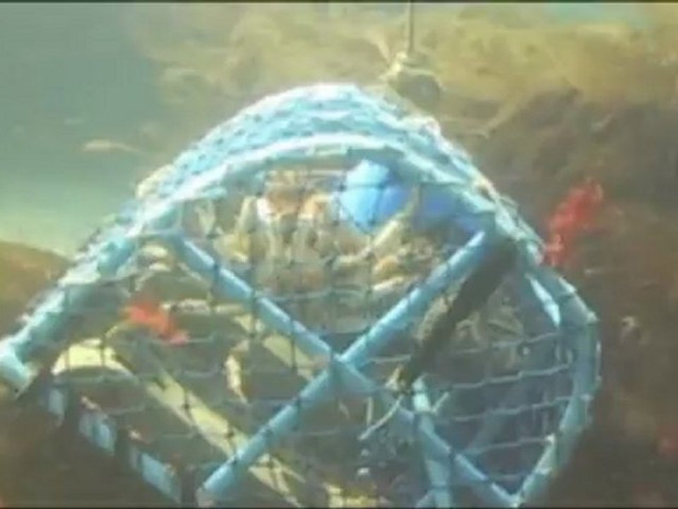 Belle ile en mer p2