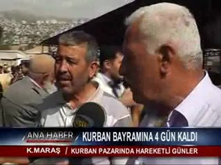 KURBAN BAYRAMINA 4 GÜN KALDI  KURBANLIK FİYATLARI BELLİ OLDU