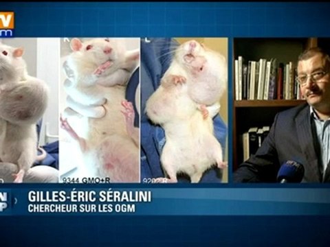 Etude sur les OGM réfutée par HCB - Haut Conseil des biotechnologies - Gilles-Eric Séralini réagit