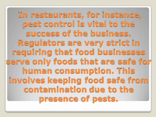 Commercial Pest Control with Bob Gunn