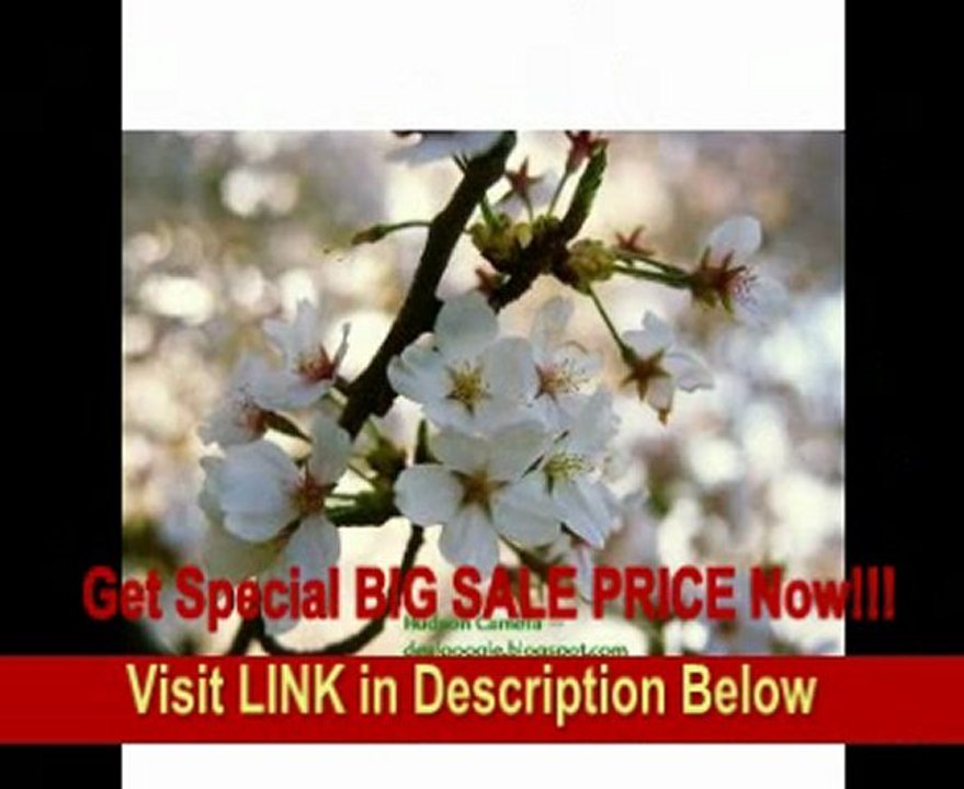 Nikon Super Coolscan 4000 ED Film Scanner