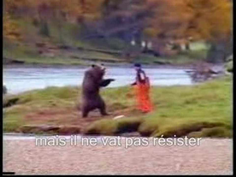Documentaire sur l'ours