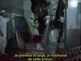 Ravioli, la boîte à rêves (extrait 1)