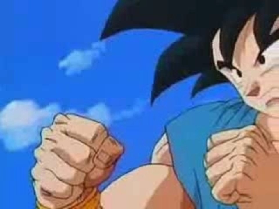 dbz ( la boulette )