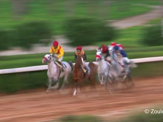 Beyrouth, danse avec les chevaux
