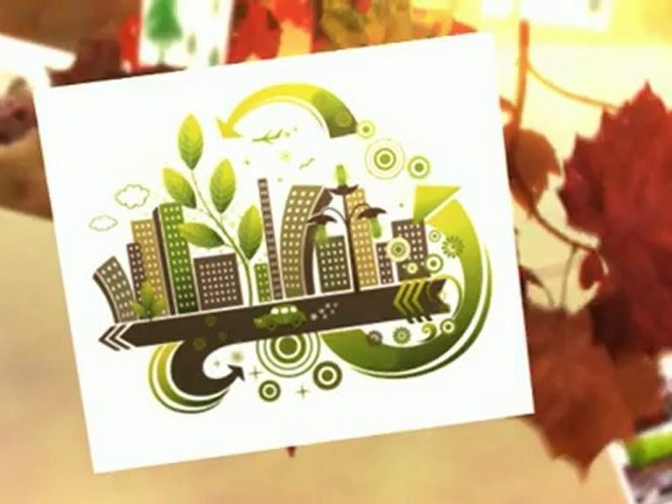 bamboo investment