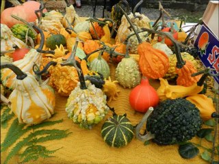 Fête des Potirons 2012