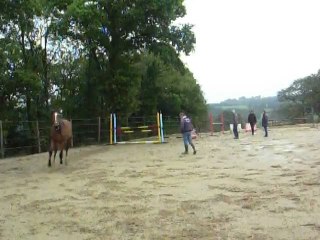 arobase d'ardelay  20 oct 2012
