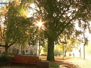 Groningse standbeelden krijgen gebreide muts op - RTV Noord