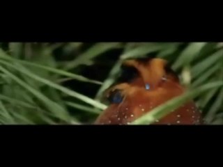 ياااااااااااارب كلمات ...محمد الهادي