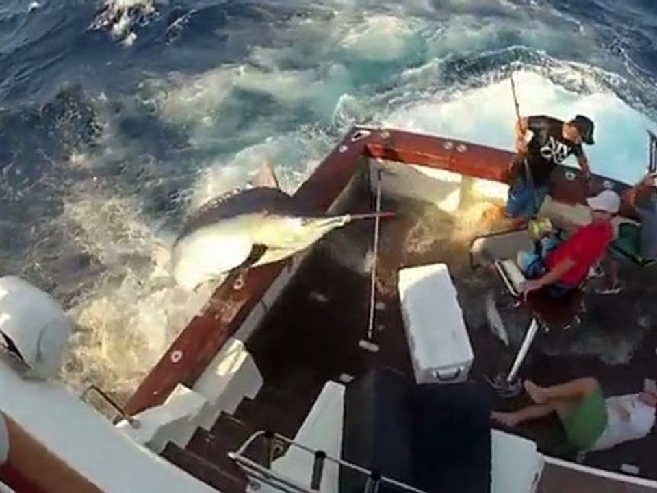 Un marlin noir saute dans un bateau