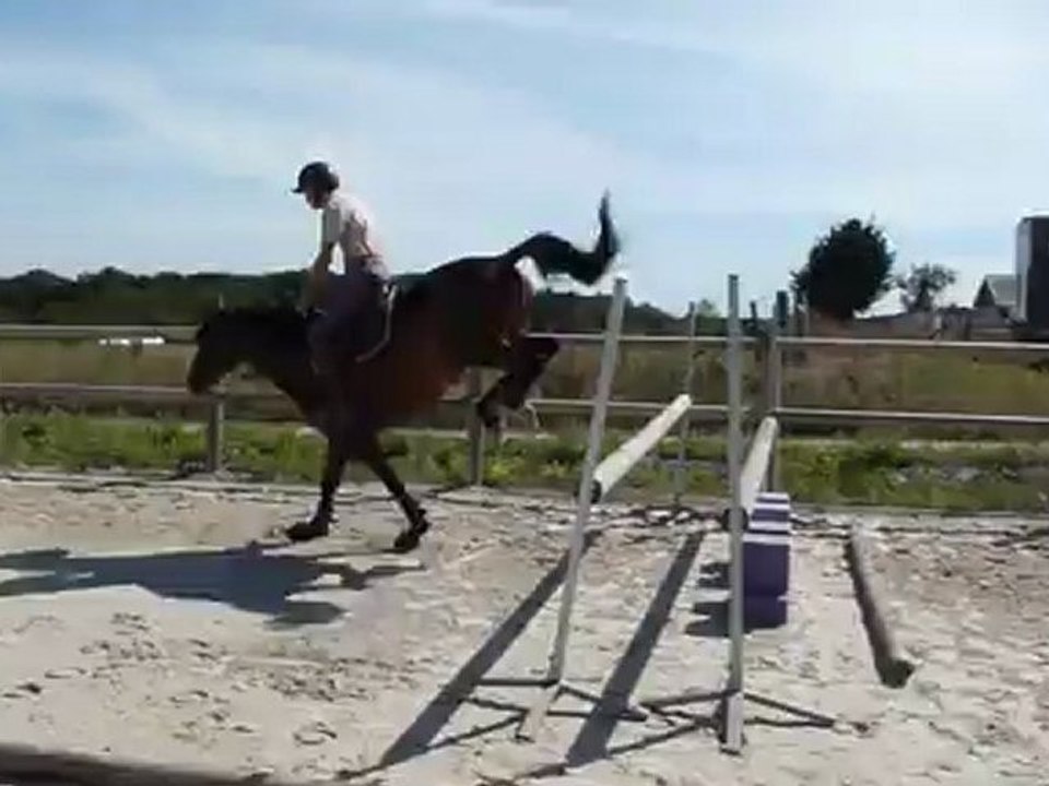 Raphi saut oxer