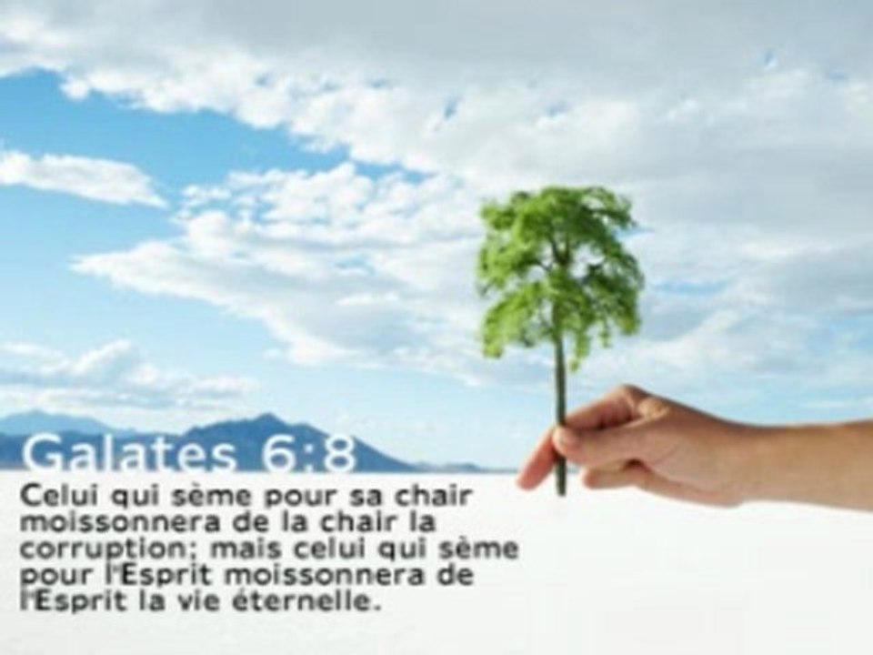 Comment marcher dans une sainteté concrète part2,Henry VIAUD MURAT