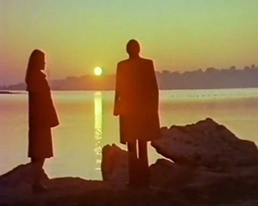 Müzeyyen senar -  fikrimin ince gülü -  kolaj serbülent öztürk