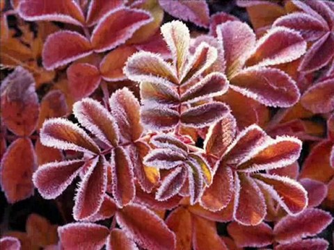 tr-Sondakika-seslikaradenizliyim.com-Buda-Benden-Olsun- seslikaradenizliyim.com