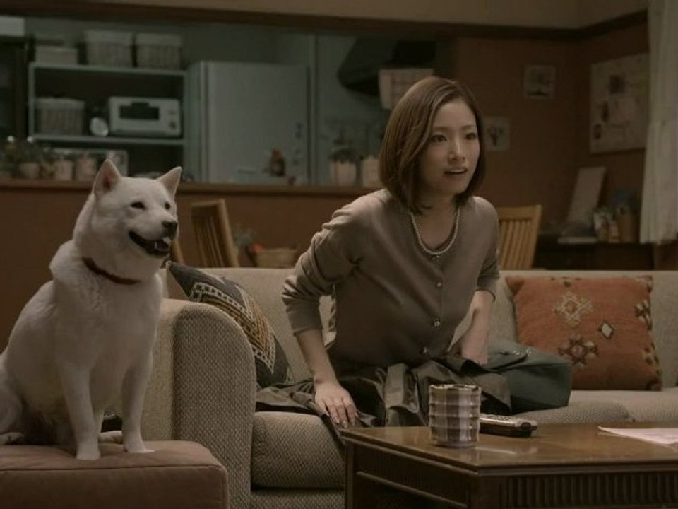 #softbank #aya ueto #shirato family #every little thing #mobile phones #jpop