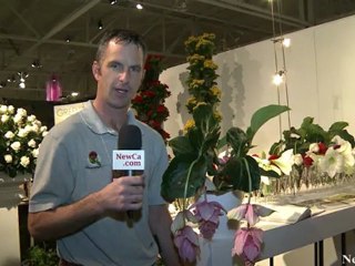 NewCa.com: 2012 Garden and Floral EXPO: P. Ravensbergen & Sons Ltd.