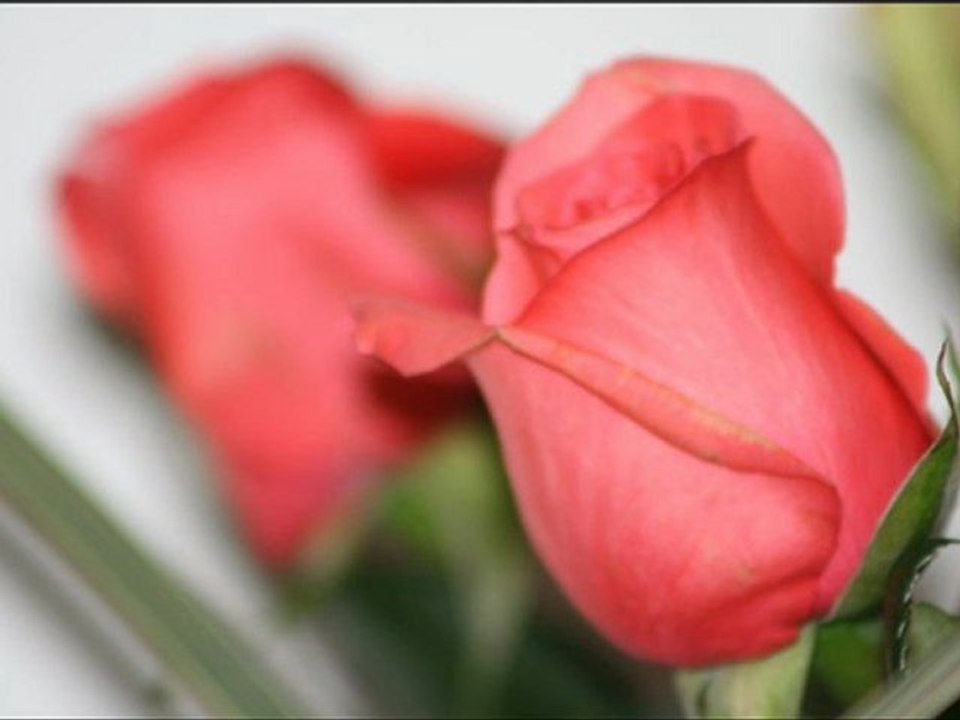 سورة مريم فارس عباد