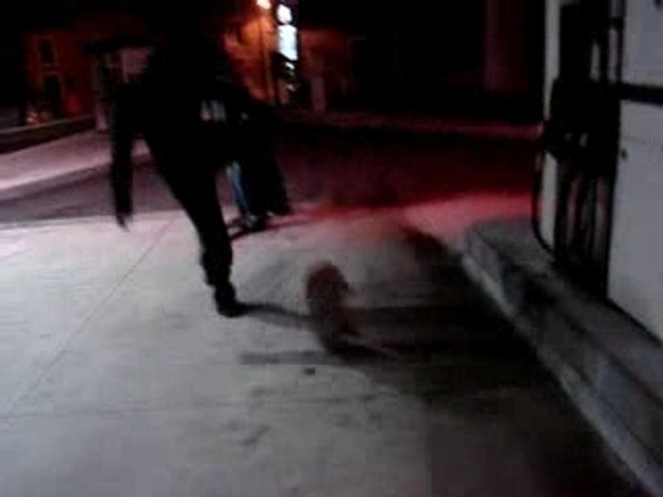 Le retour des kassos