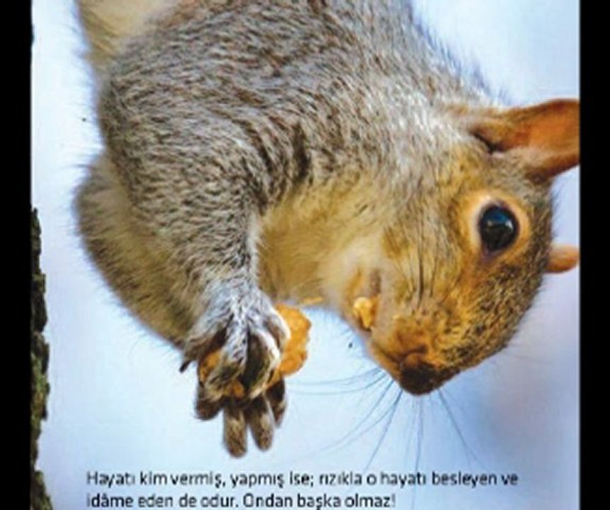 BiR KERTENKELENiN VERDiGi DERS