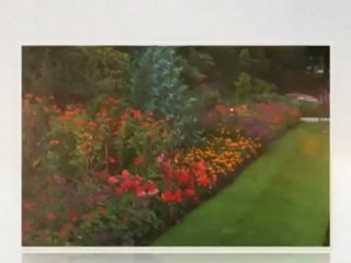 AA Lawn Care - (817) 571-1103