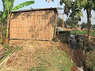 নওগাঁয় ধানের উৎপাদন খরচ দিন দিন