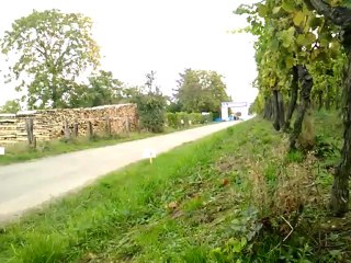 Massifs des grand crus Hugersberg  depart 2