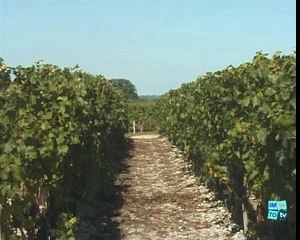 Hotellerie et gastronomie en France