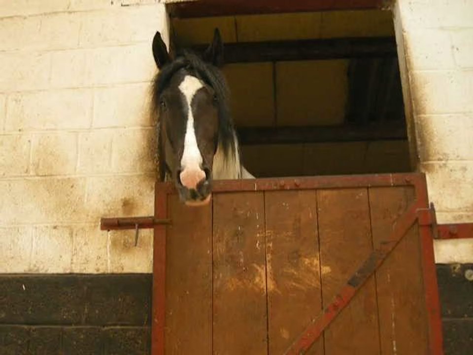 Kalou joue avec sa langue (Le 18 juin 2009)