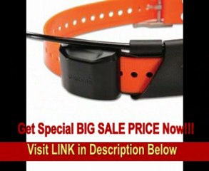 Garmin Alpha GPS Track and Train System REVIEW