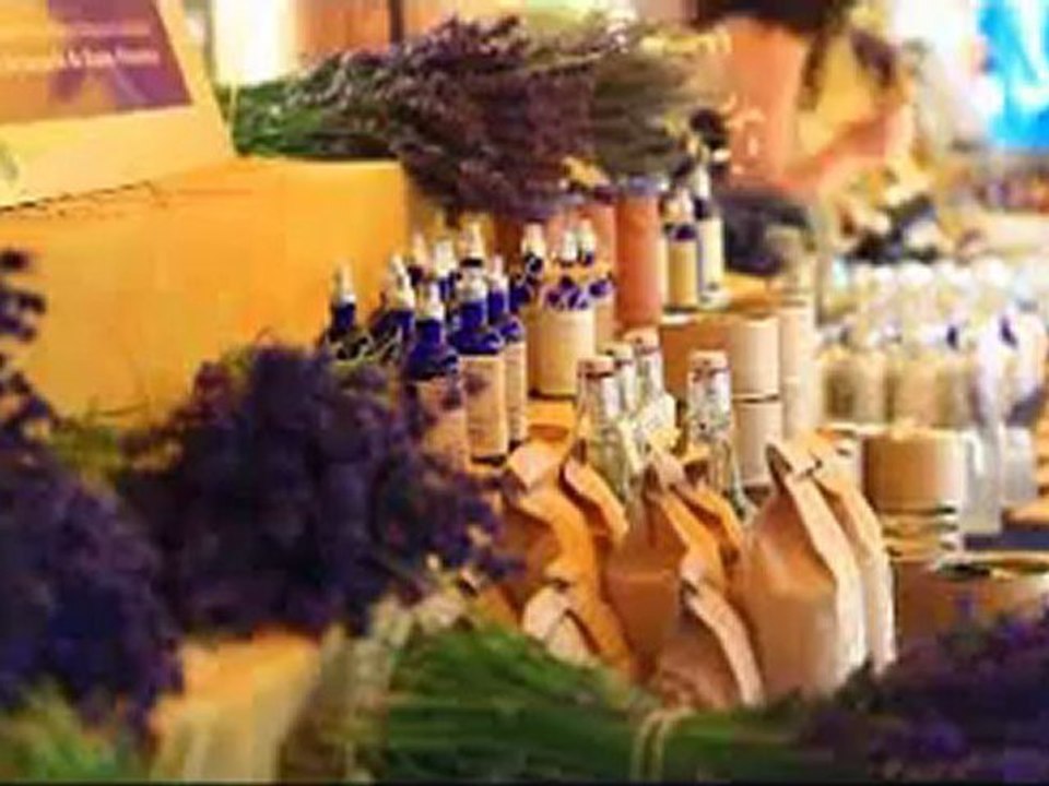 Coşkun Aral Avrupa Notları Fransa - Digiturk İZ TV Tanıtımı