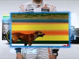 F1, GP India 2012: La guida alla pista di Jenson Button