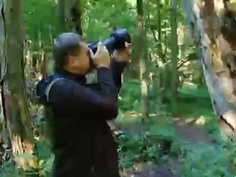 The Primeval Forest of Białowieza | Global 3000