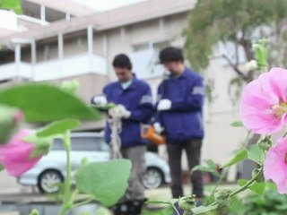 Fukushima: Greenpeace conteste les taux officiels de radiation