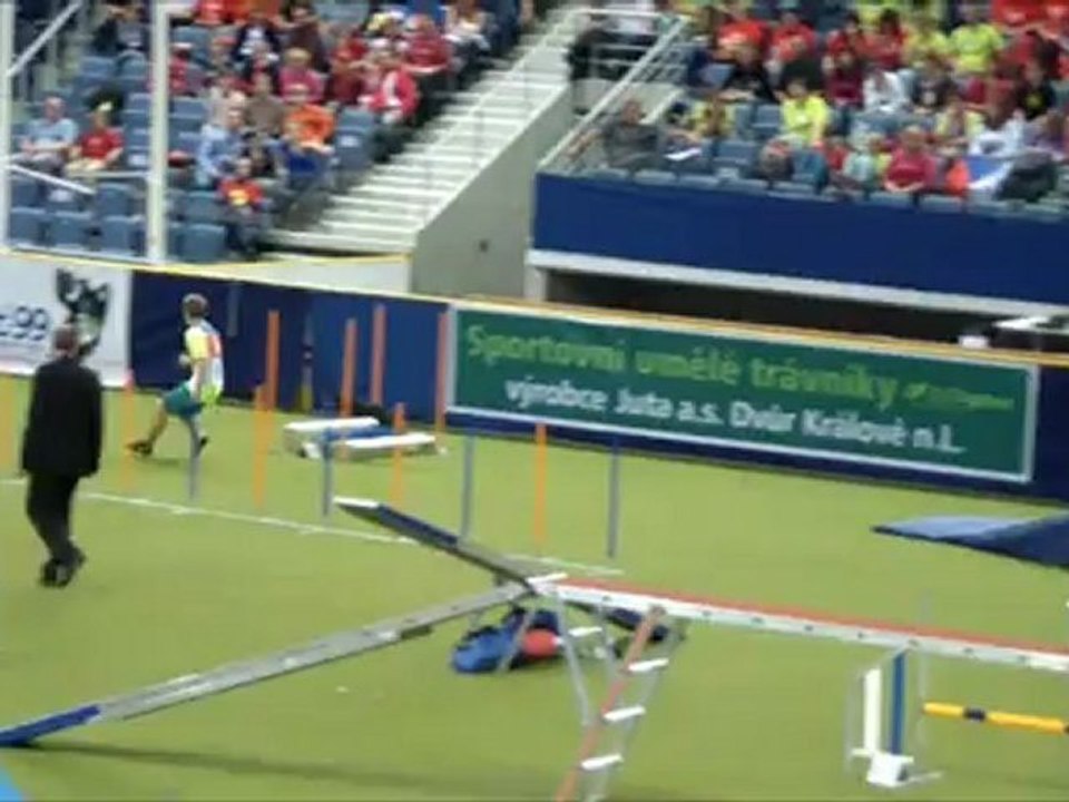 Manchester WC Agility 2012