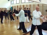 I SEGRETI DELLE ARTI MARZIALI INTERNE CINESI: DAGLI ESERCIZI DI BASE ALLE APPLICAZIONI MARZIALI. CORSI A ROMA DI TAIJI QUAN, NEI GONG,QI GONG, XIN YI CON IL MAESTRO FLAVIO DANIELE LVII