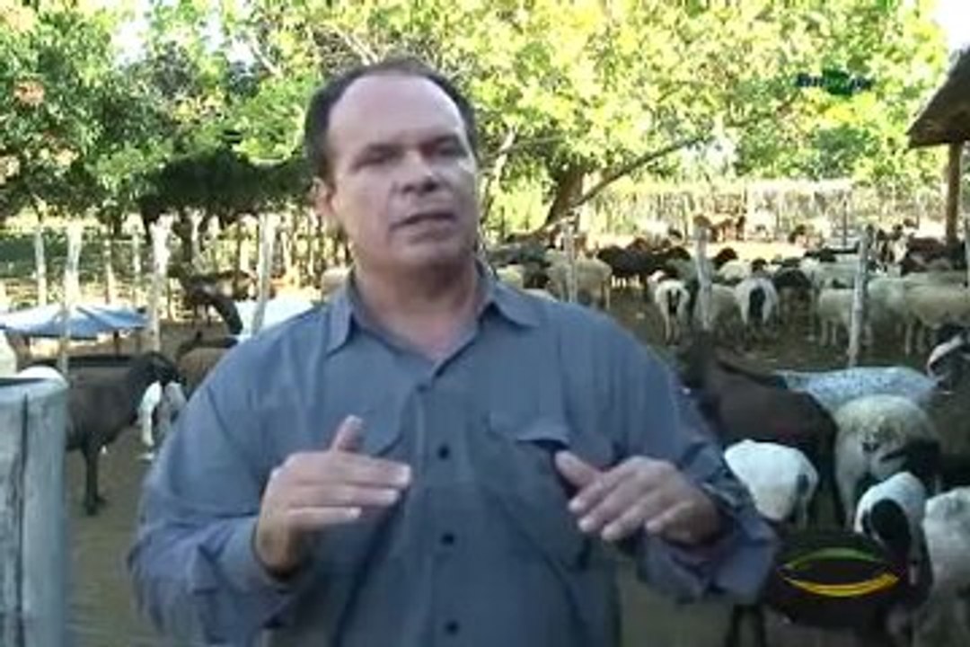 Dia de Campo na TV do dia 20-10-2012
