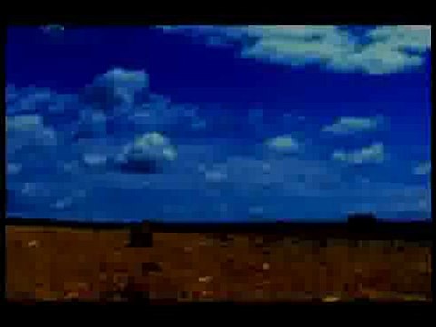 Цар лъв С истински животни Част 3