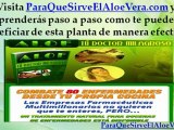 Aloe Vera Usos – Blanquear Dientes Caseros