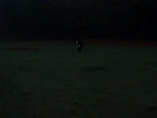 Balade nocturne