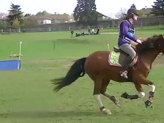 Auriane et Lulu cross CCE Club 3 Chateauneuf