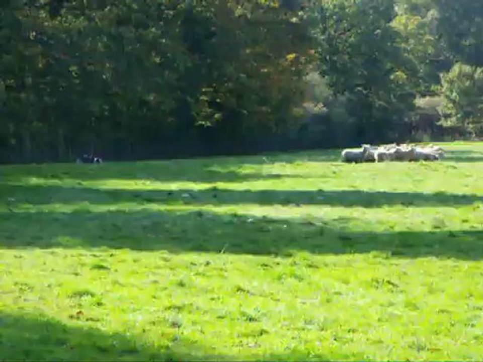 Bernard et Gamin 1 - 22/10/2012