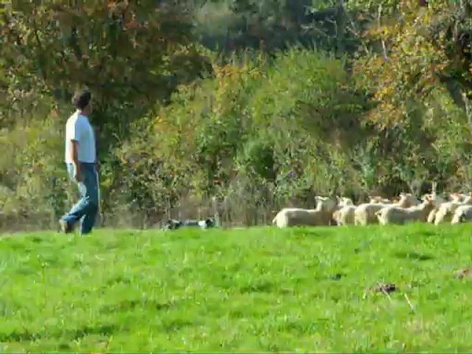 Bernard et Gamin 2 - 22/10/2012