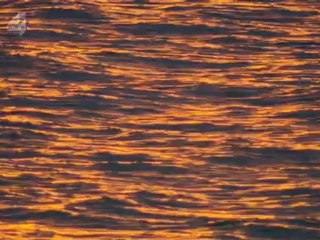 S ex Death And The Meaning Of Lfife Episode 2 Richard Dawkins