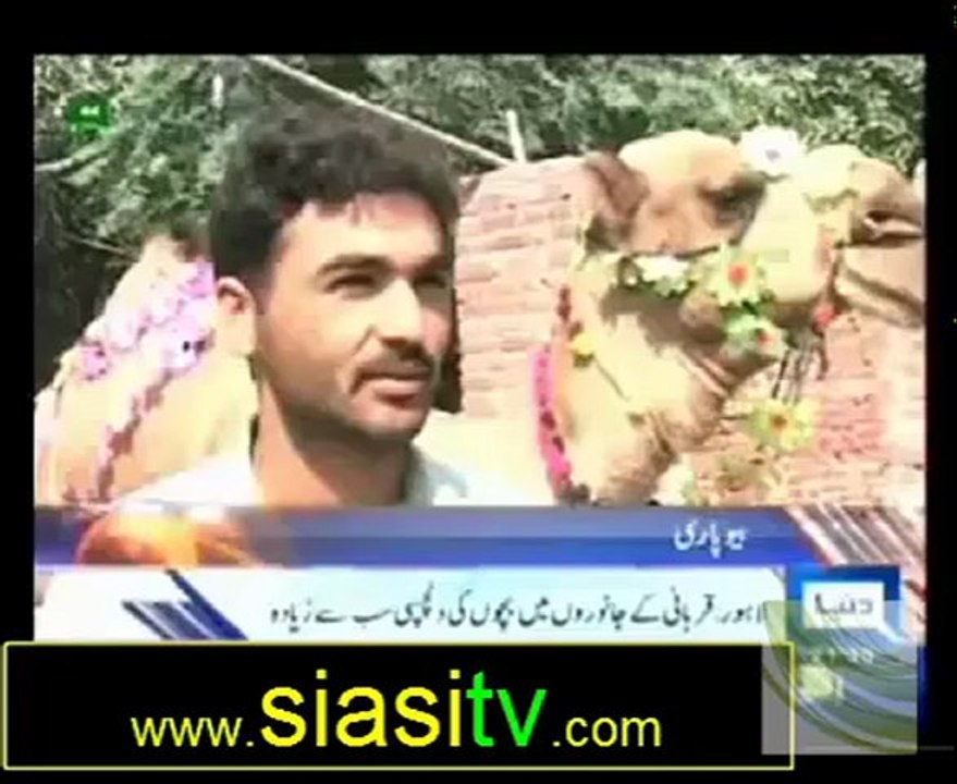 Daily News Bulletin on Dunya News 23rd October 2012