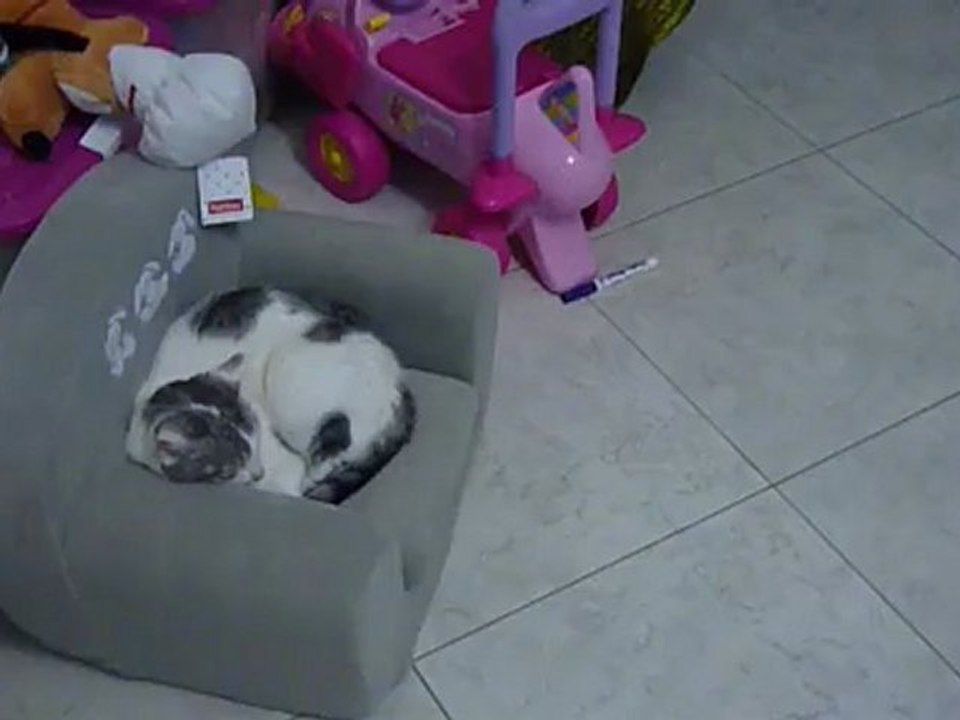 NEVE , sieste avec les copains