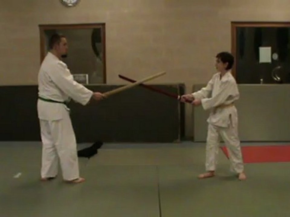 Ken : awase (1) hidari  ki no nagare