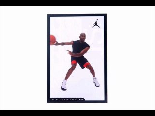 Air Jordan Retro 12 (XII) Playoffs